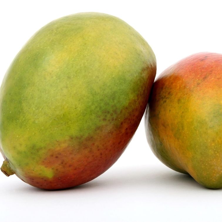 Mango tuoksuöljy (Gracefruit)
